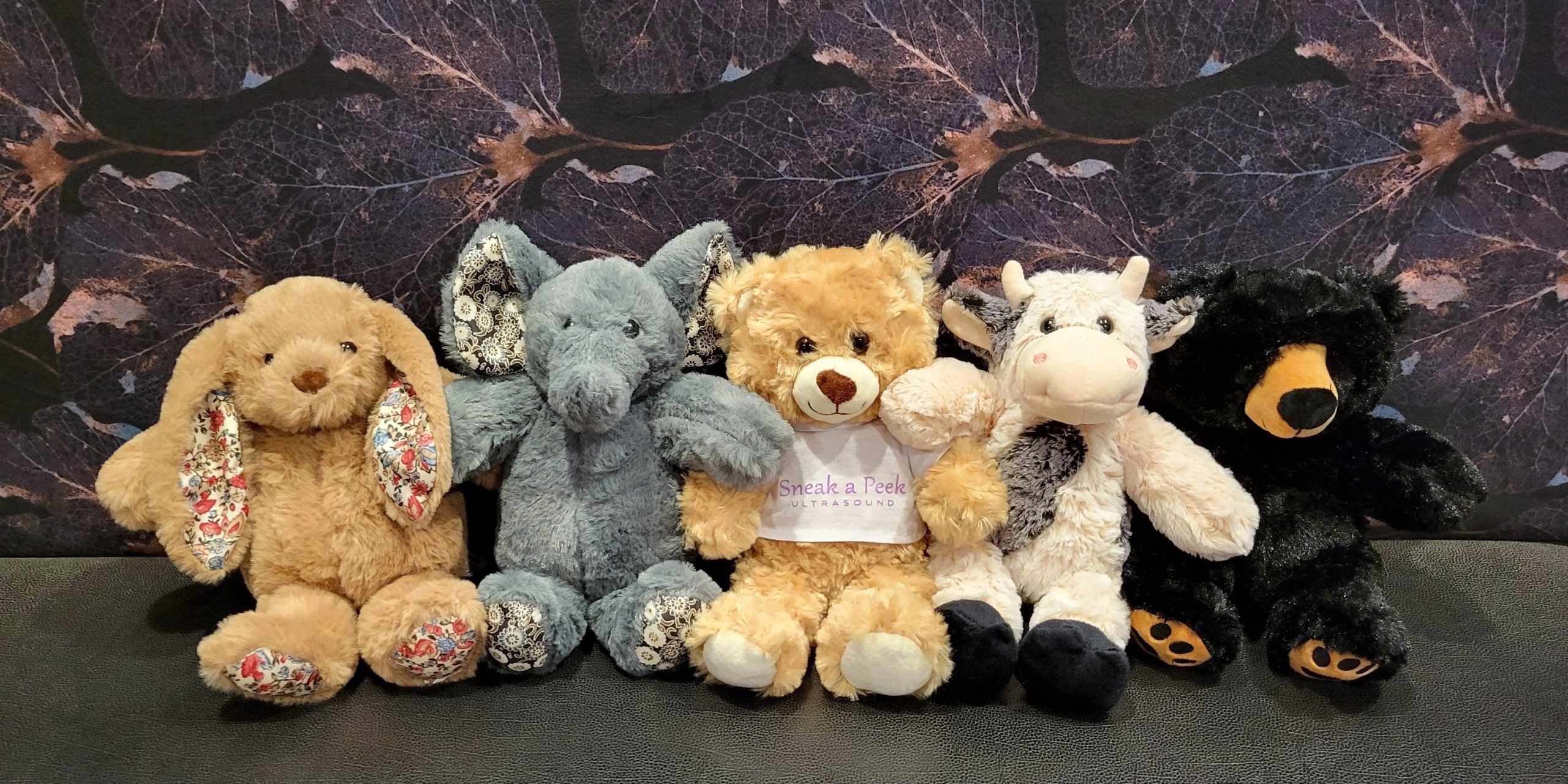 teddies